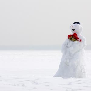 The Lonely Snowman