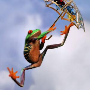 Froggy Poppins