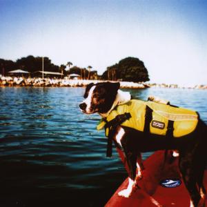 Summer Kayak Trip