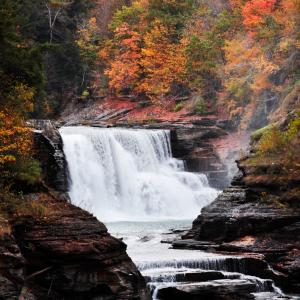 Fall at Letchworth