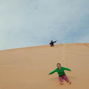 Sand Dunes of Wadi Araba
