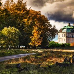 The Castle in the Forest