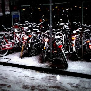 snow topped cycles