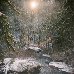 Silver Falls State Park