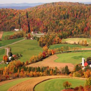 Garrett County Fall