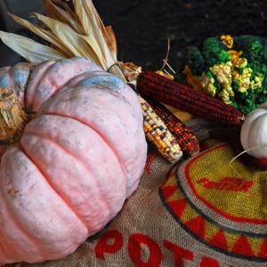 Pink pumpkin