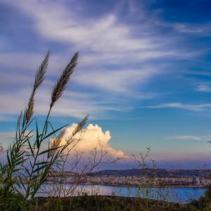 Summer Clouds