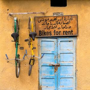 Bikes For Rent