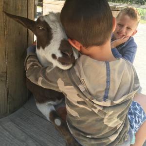 A Boy And His Goat