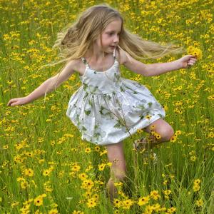 Running through the coreopsis flowers.