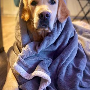 Buck in a dressing gown after his shower!
