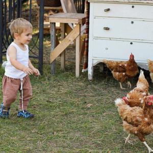 Running wild with the chickens.