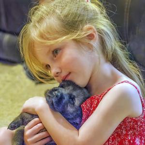 A girl with a German shepherd puppy.