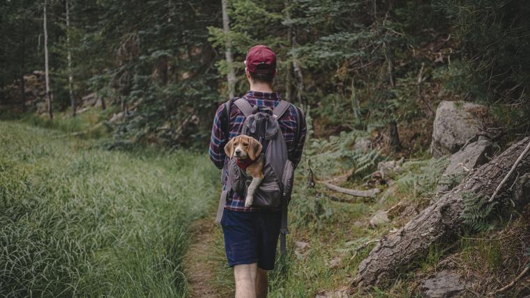 Pup’s First Hike