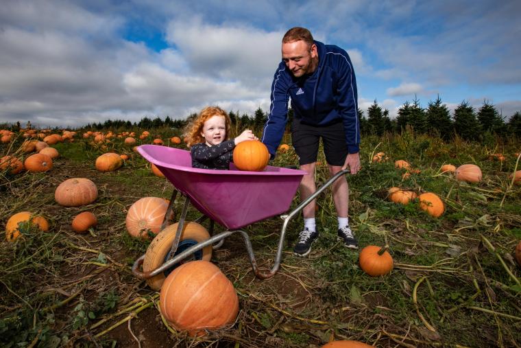 Pumpkin Picking at the Pumpkin Patch