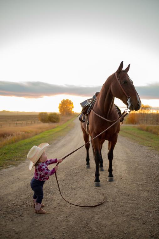 Little Rider