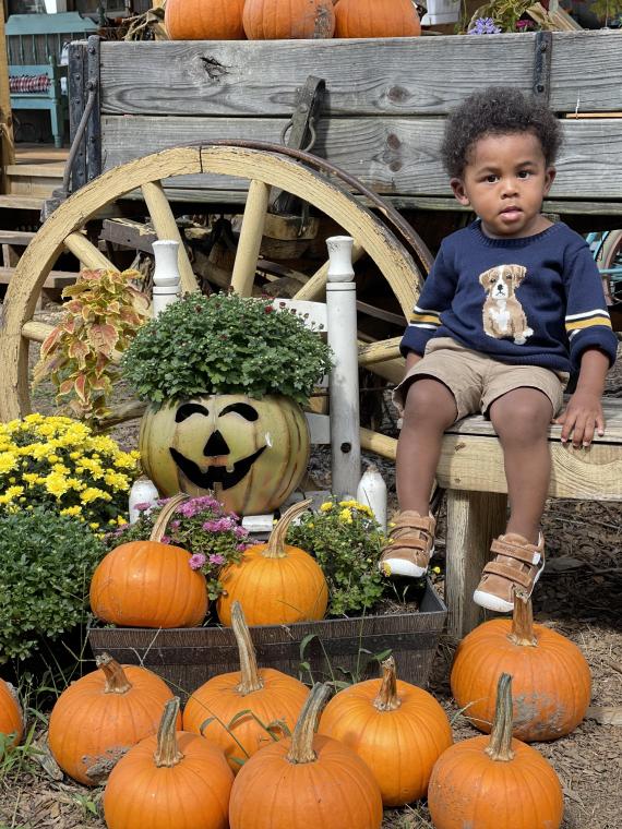 Halloween Fun at Pumpkin Patch Farm