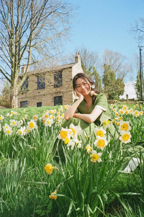 British daffodils