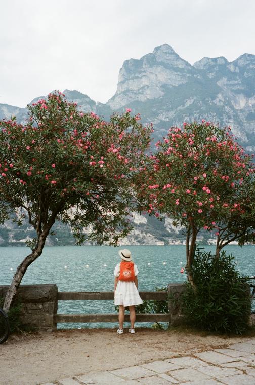 Summer on Lago di Garda