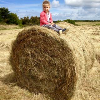 Lou sur la paille