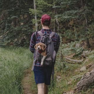 Pup’s First Hike