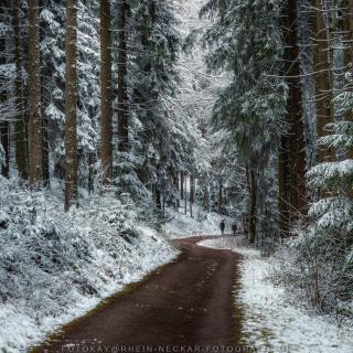 Wintermood - Unterwegs im Odenwald.