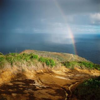 The Rainbow Before a Downpour