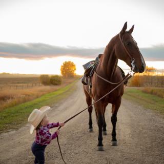 Little Rider