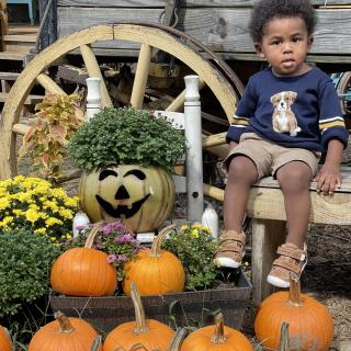 Halloween Fun at Pumpkin Patch Farm